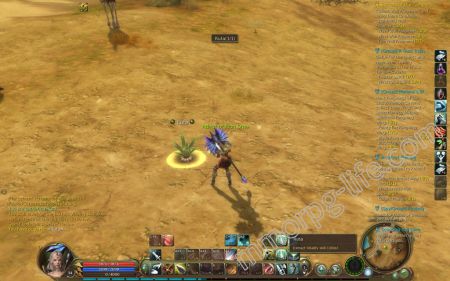 Ruta - http://aion.mmorpg-life.com/crafting/gathering/ruta/32766/ medium