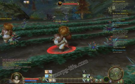 Kill Dundun Farmers and Looklooks for the quest item medium