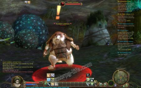 Kill Dundun Farmers and Looklooks for the quest item medium
