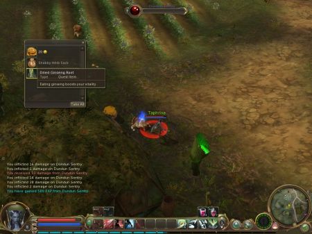Kill Dundun Farmers and Looklooks for the quest item medium