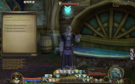 Get the quest from NPC Gefion medium