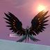 Aion 3.0 Wings 10
