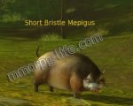 Hunt down 8 Short Bristle Megipus. thumbnail
